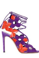 purple coral shoe