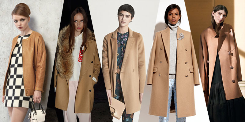 camel coats pre-fall 2014-