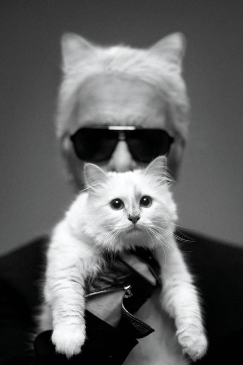Image courtesy of Harper's Bazaar