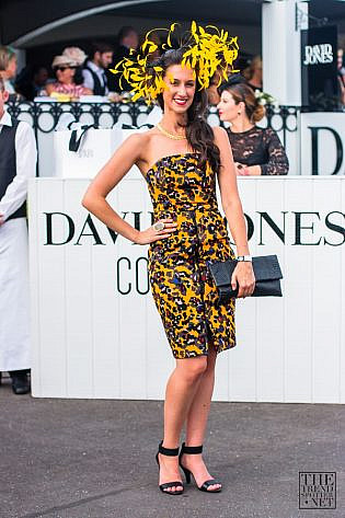Photo by Colin Gold Caulfield Cup 2014 Street