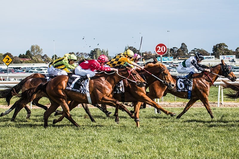 Caulfield Cup 2014