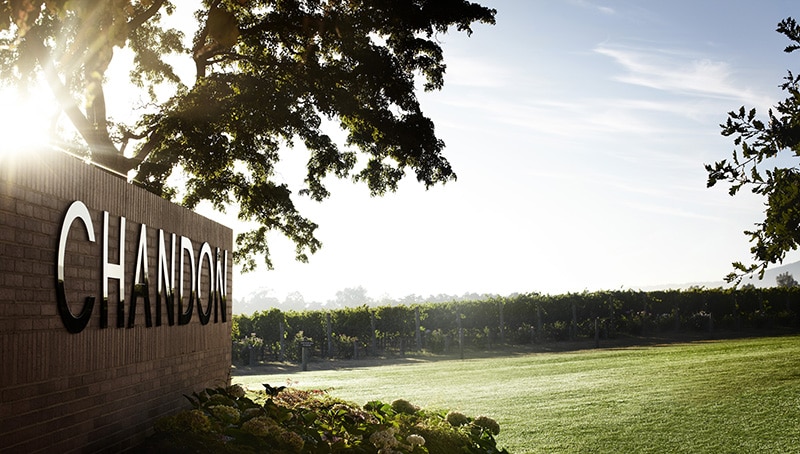 Chandon Greenpoint Vineyard with signage