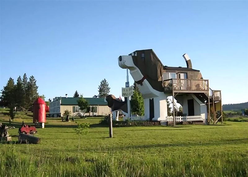 Dog Bark Park Inn 1
