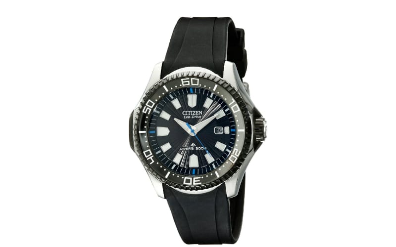 citizen professional diver