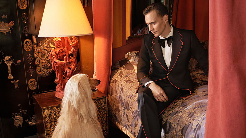 tom-hiddleston-stars-in-new-gucci-campaign