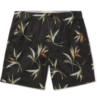 Printed Cotton Ripstop Shorts