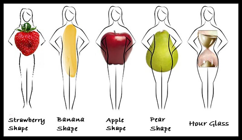 Body Types