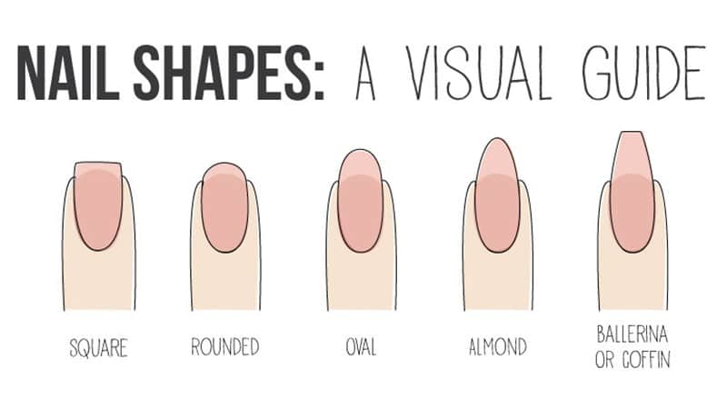 Nail Shape Chart