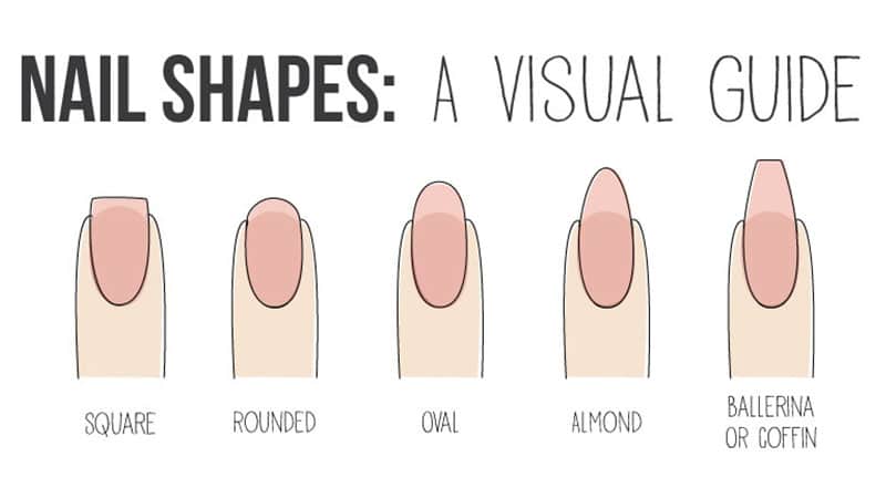 Nail Length And Shape Chart