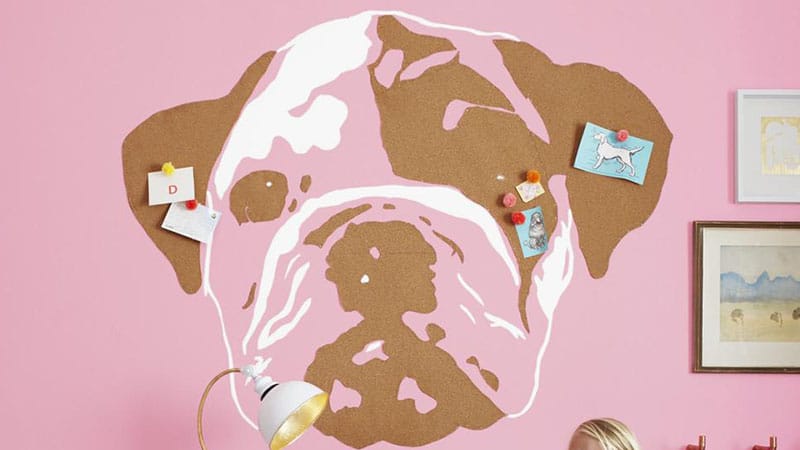 Corkboard Creativity Corkboard Creativity