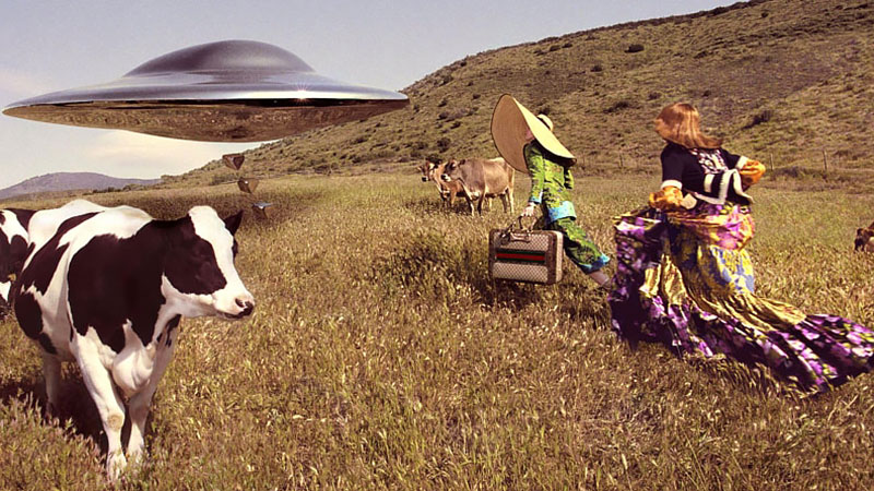 Gucci Goes Intergalactic with Trek to the Stars