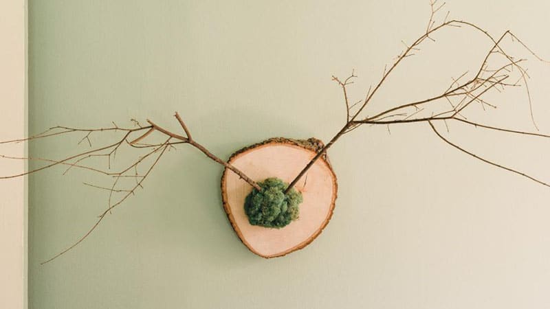 Nature's Taxidermy Nature's Taxidermy