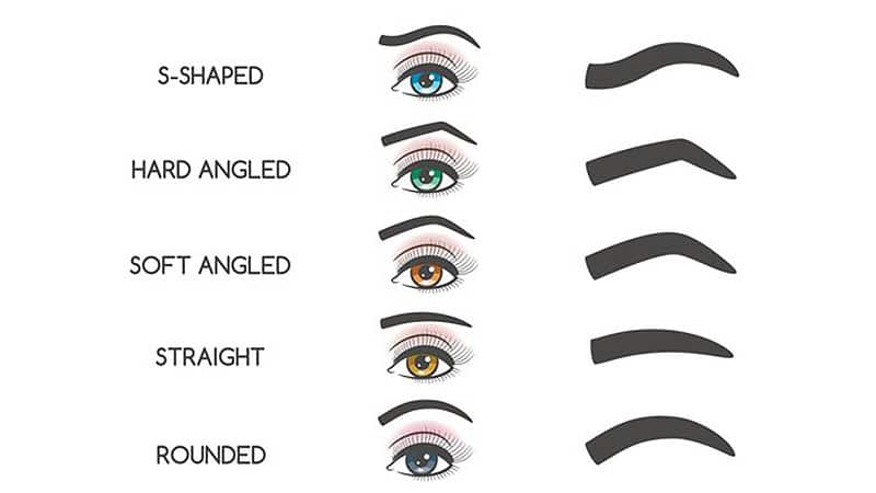 Eyebrow Shape Chart