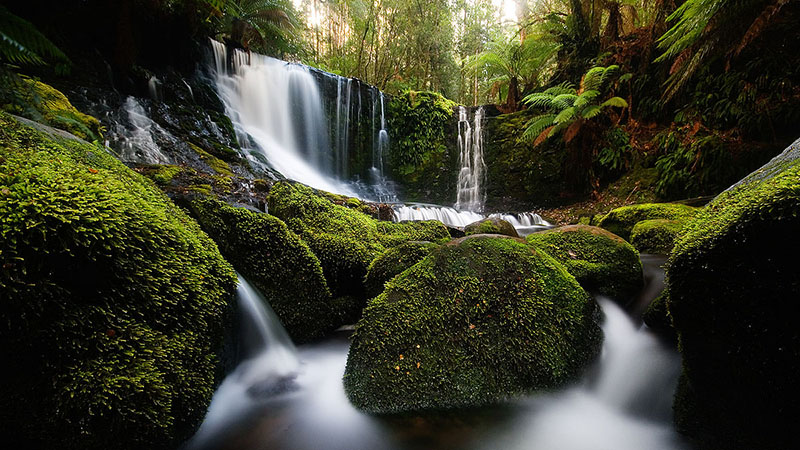 Horseshoe_Falls_2_Mt_Field_National_Park