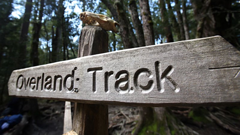 overland_track_signpost