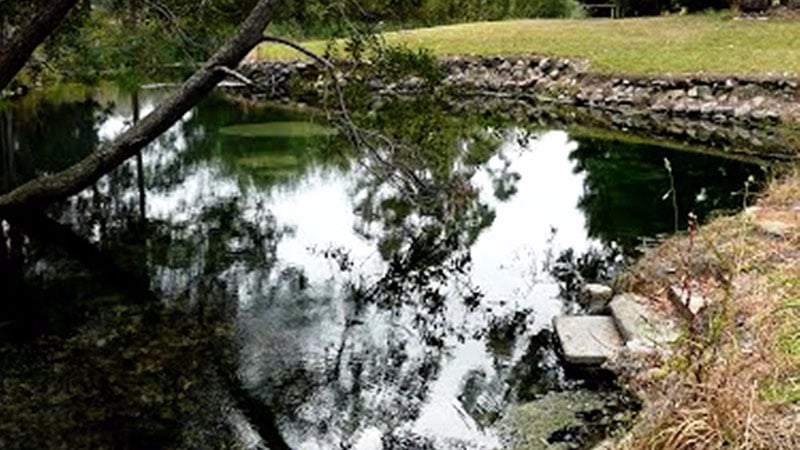 Kimberly Warm Spring, Tasmania