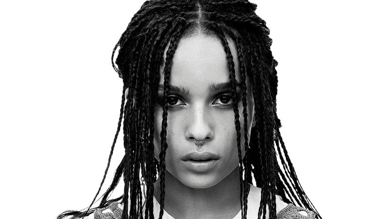 50 Box Braids Hairstyles to Try in 2023 - The Trend Spotter
