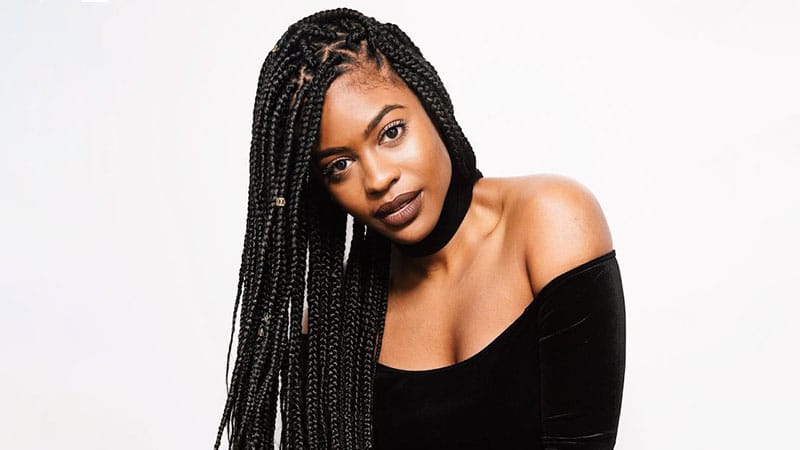 20 Coolest Box Braids Hairstyles in 2021 - The Trend Spotter