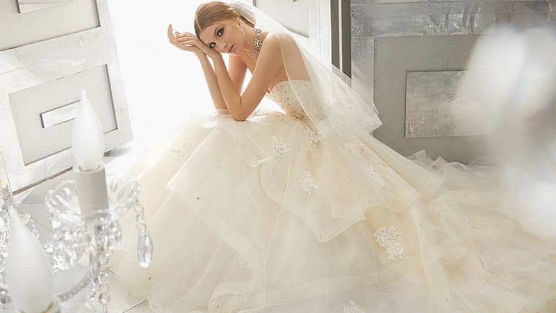 Ball Gown Wedding Dress