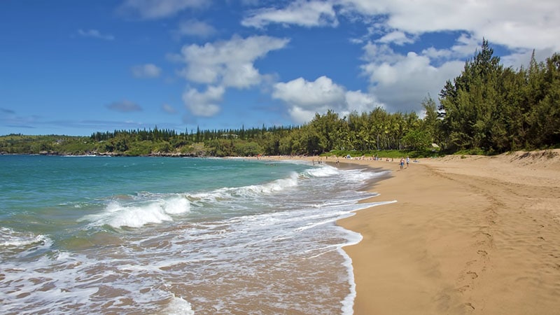 D.t. Fleming Beach Park