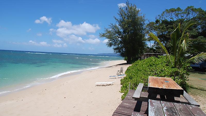 Mokule'ia Bay Beach