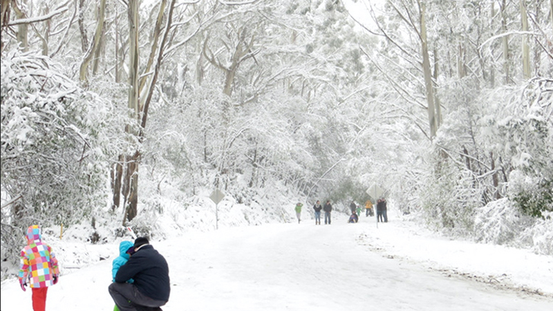 Mount Donna Buang