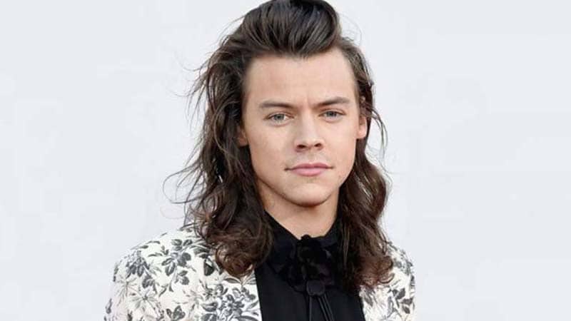 Harry Styles Hair