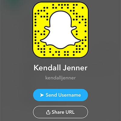 Kendall Jenner Snap