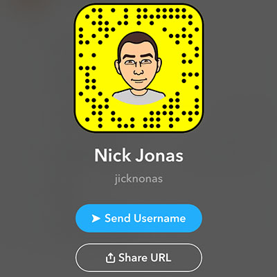 Nick Jonas Snap