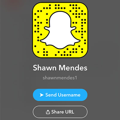 Shawn Mendes Snap