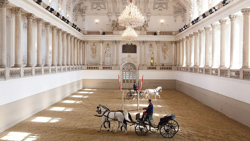 The Spanish Riding School