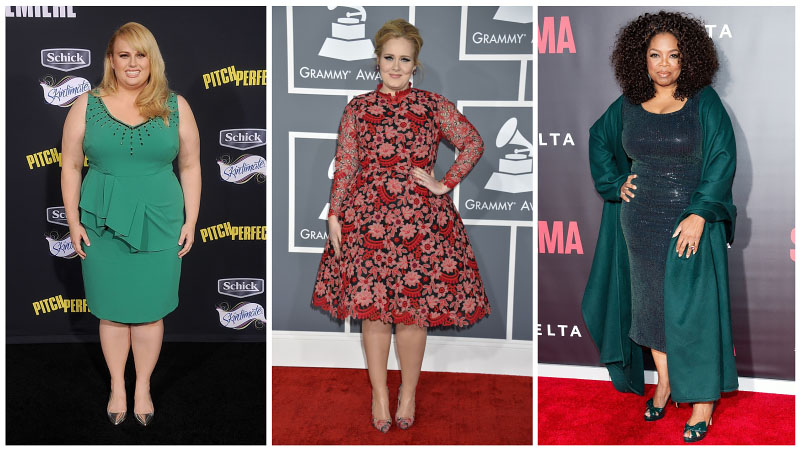 Celeb Plus Size Dress Collage