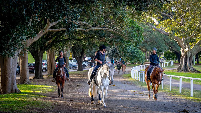 Papillon Riding Stables