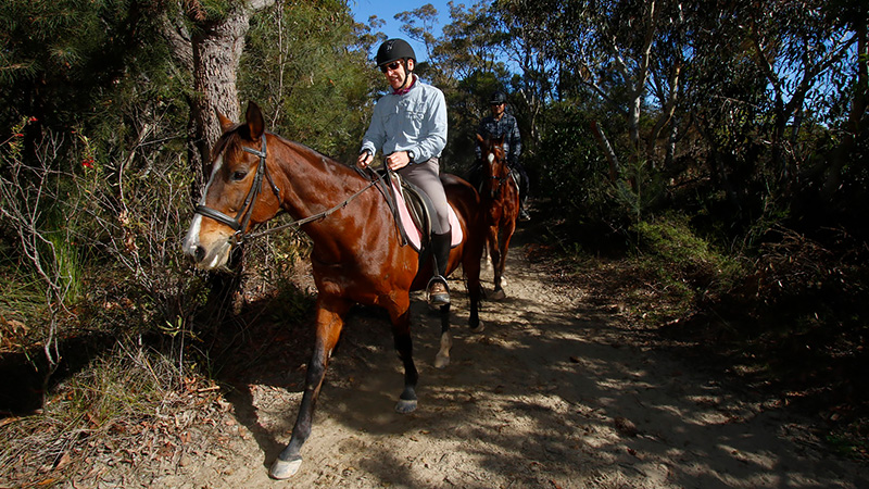 Terrey Hills Riding School