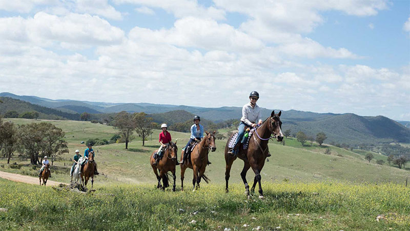 Yarrabin Holiday Ranch
