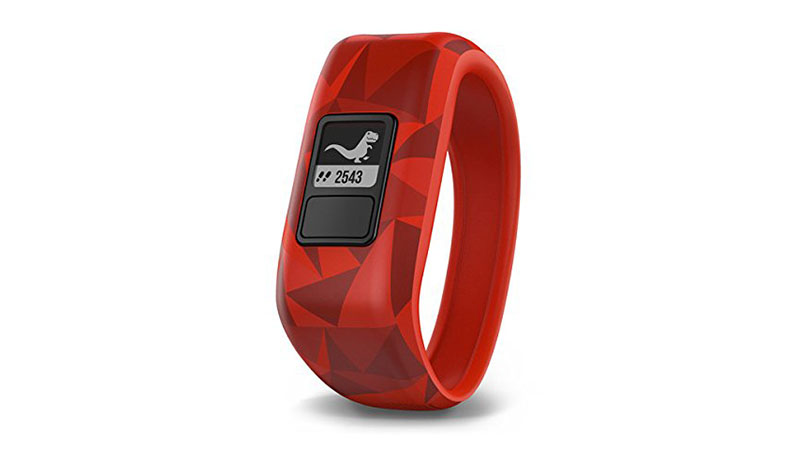 Garmin Vivofit Smartwatch