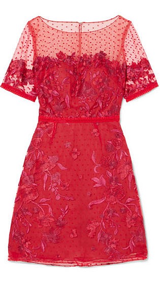 Embroidered flocked tulle mini dress