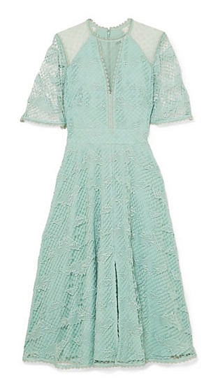 Haze guipure lace and tulle dress