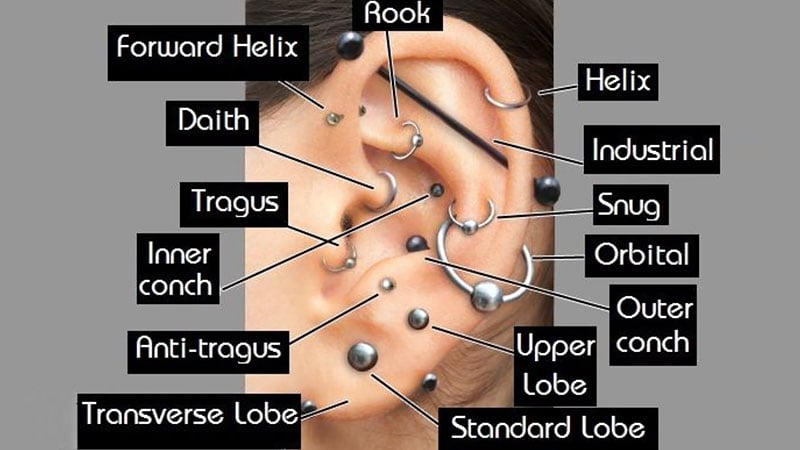 All Ear Piercings Chart