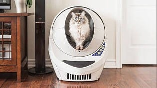 Smart Cat Toys