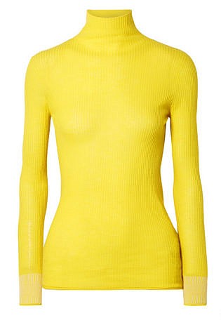 Ribbed Wool Turtleneck Sweater