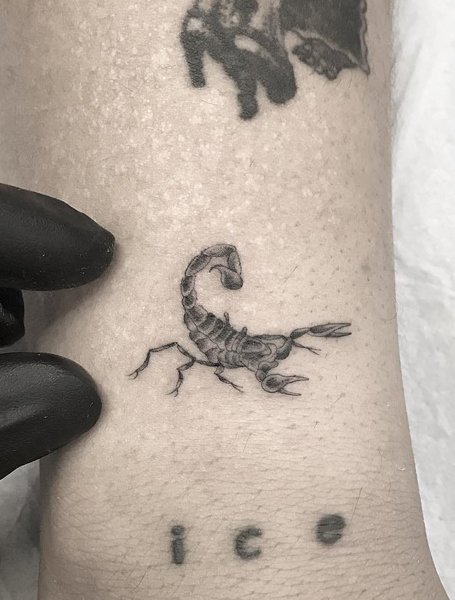 Small Scorpian Tattoo Men