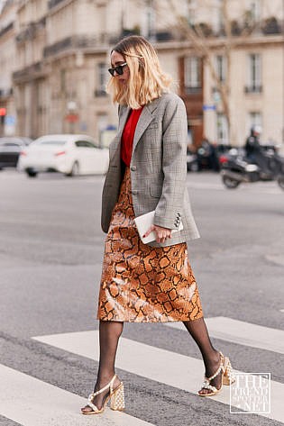 Paris Fashion Week Aw 2019 Street Style Women 311