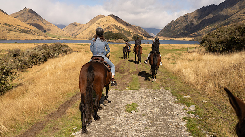 Ben Lomond Station Horse Treks