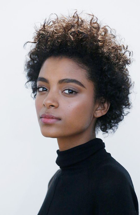 15 Best Natural Hairstyles For Black Women In 2020 The Trend Spotter