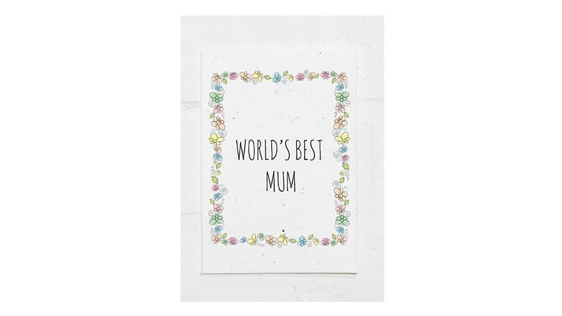 Greeting Card That Grows Flowers