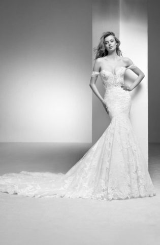 Imelda Lace Mermaid Gown