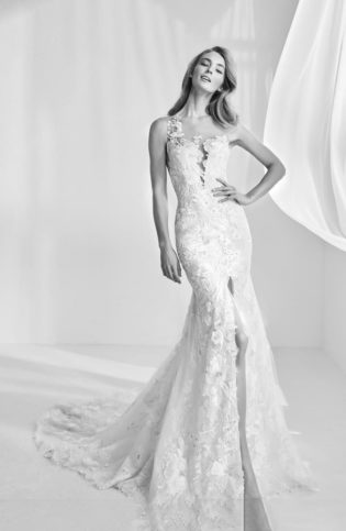 Ranisa Embroidered Lace Mermaid Gown