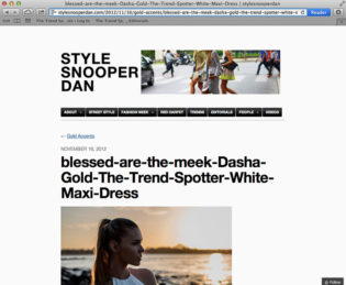 Thetrendspotter Media 17