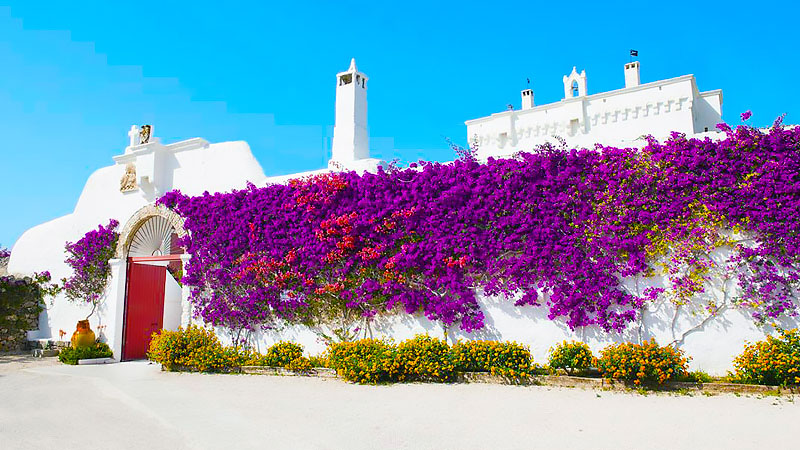 Best Masseria Hotels In Puglia, Italy